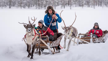 Laponia: Excursiones con trineos de renos