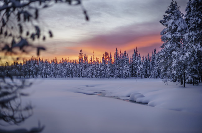 Parque Nacional de Salla, Laponia