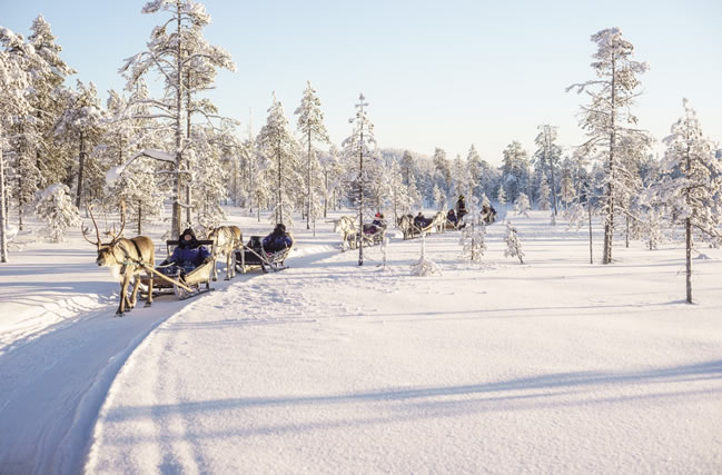 Salla, Laponia, trineos de renos