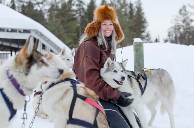 Salla, Laponia, huskies