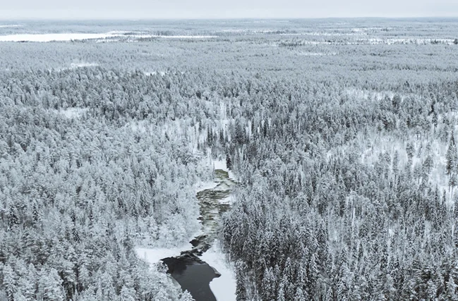 Parque Nacional de Oulanka, Laponia, Finlandia