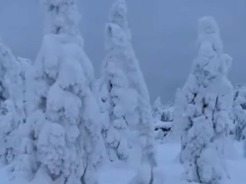 Motos de nieve, Iso Syöte, Laponia