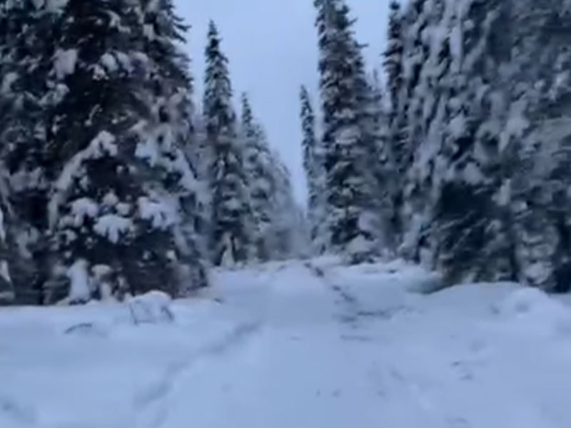 Motos de nieve, Salla, Laponia